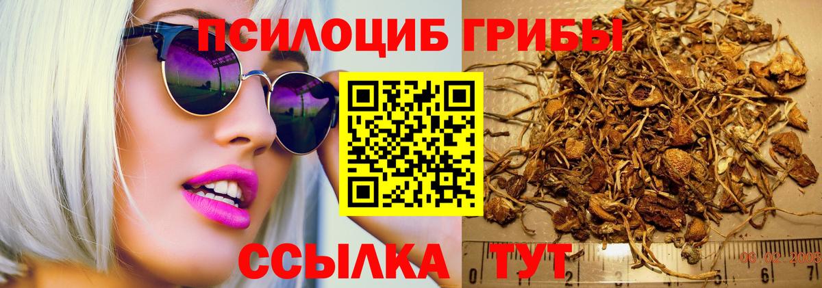 Елизово  Псилоцибиновые грибы MAGIC MUSHROOMS  Вход с VPN 