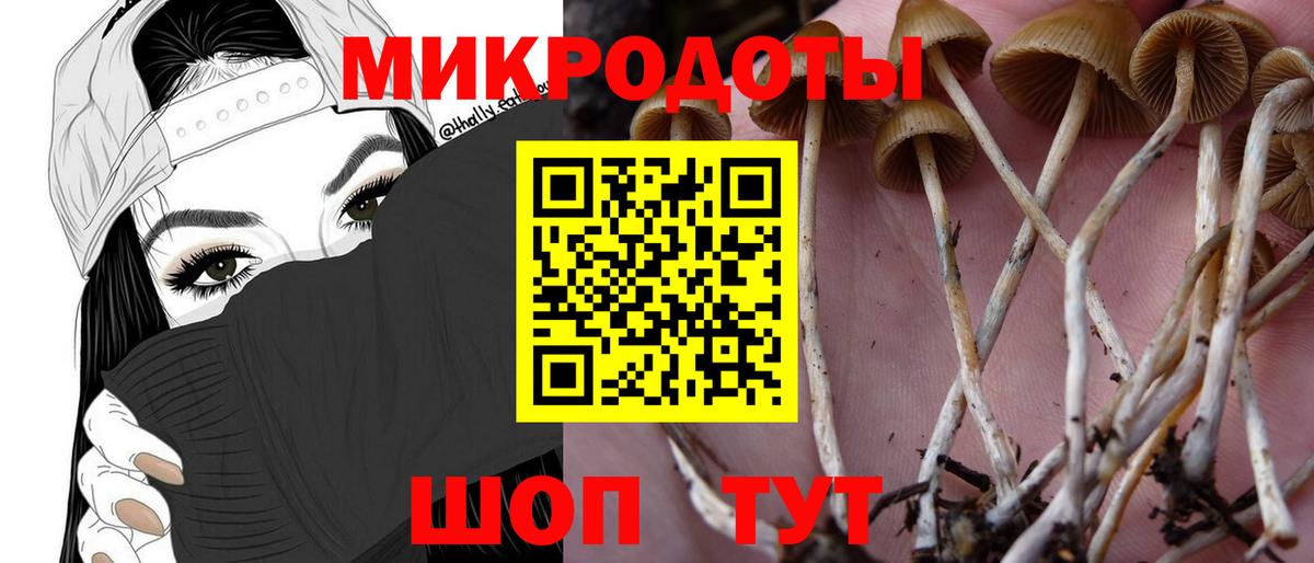 Галлюциногенные грибы прущие грибы Елизово